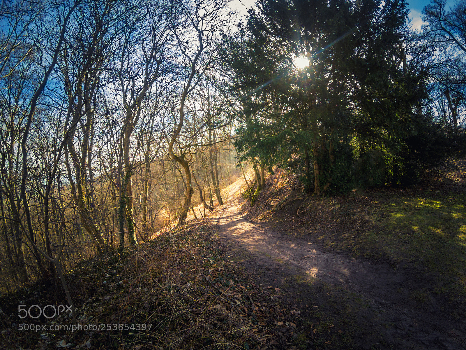 GoPro Hero5 Black sample photo. Footpath into the deep photography