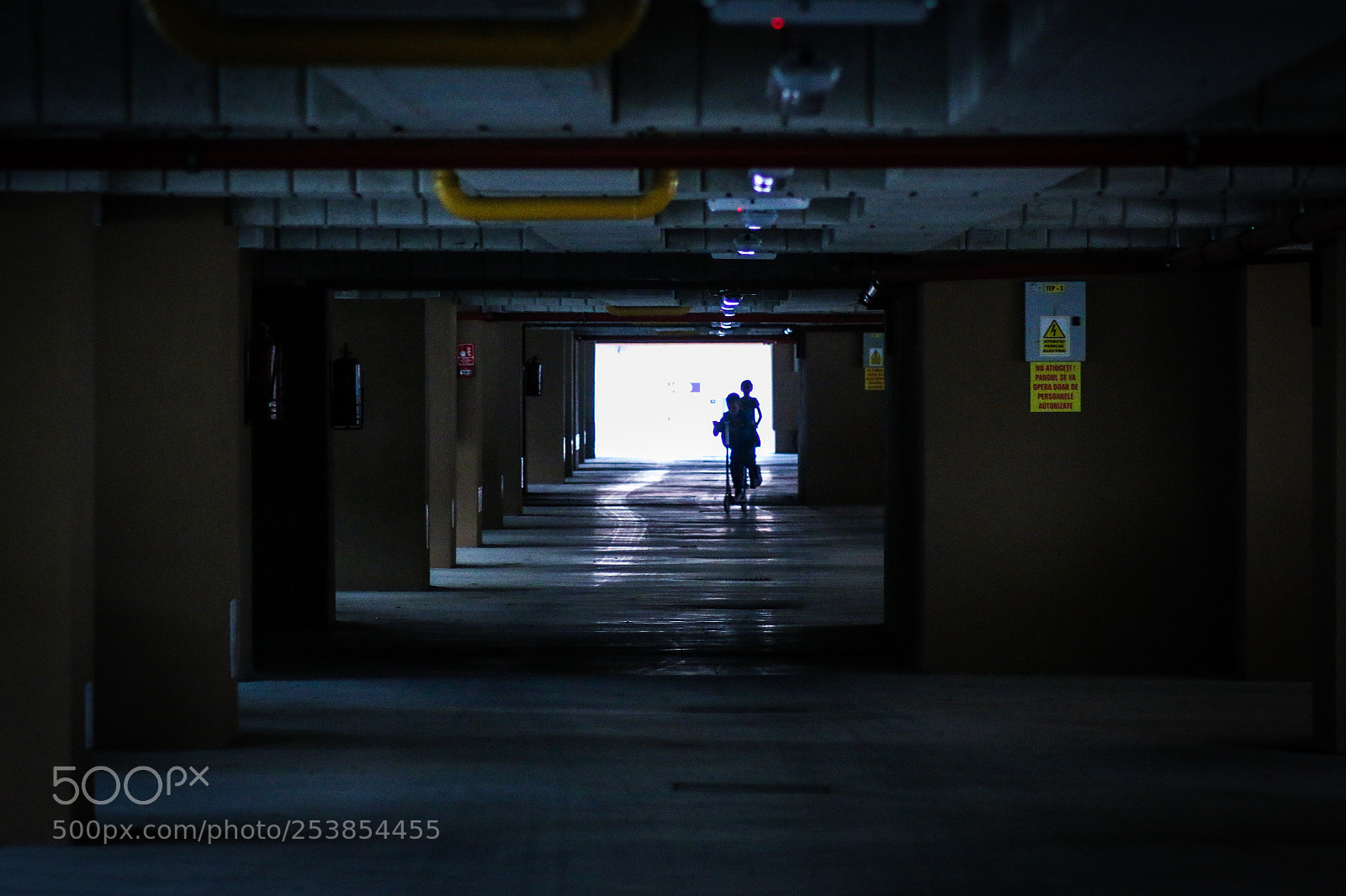 Canon EOS 70D sample photo. Untitled photography