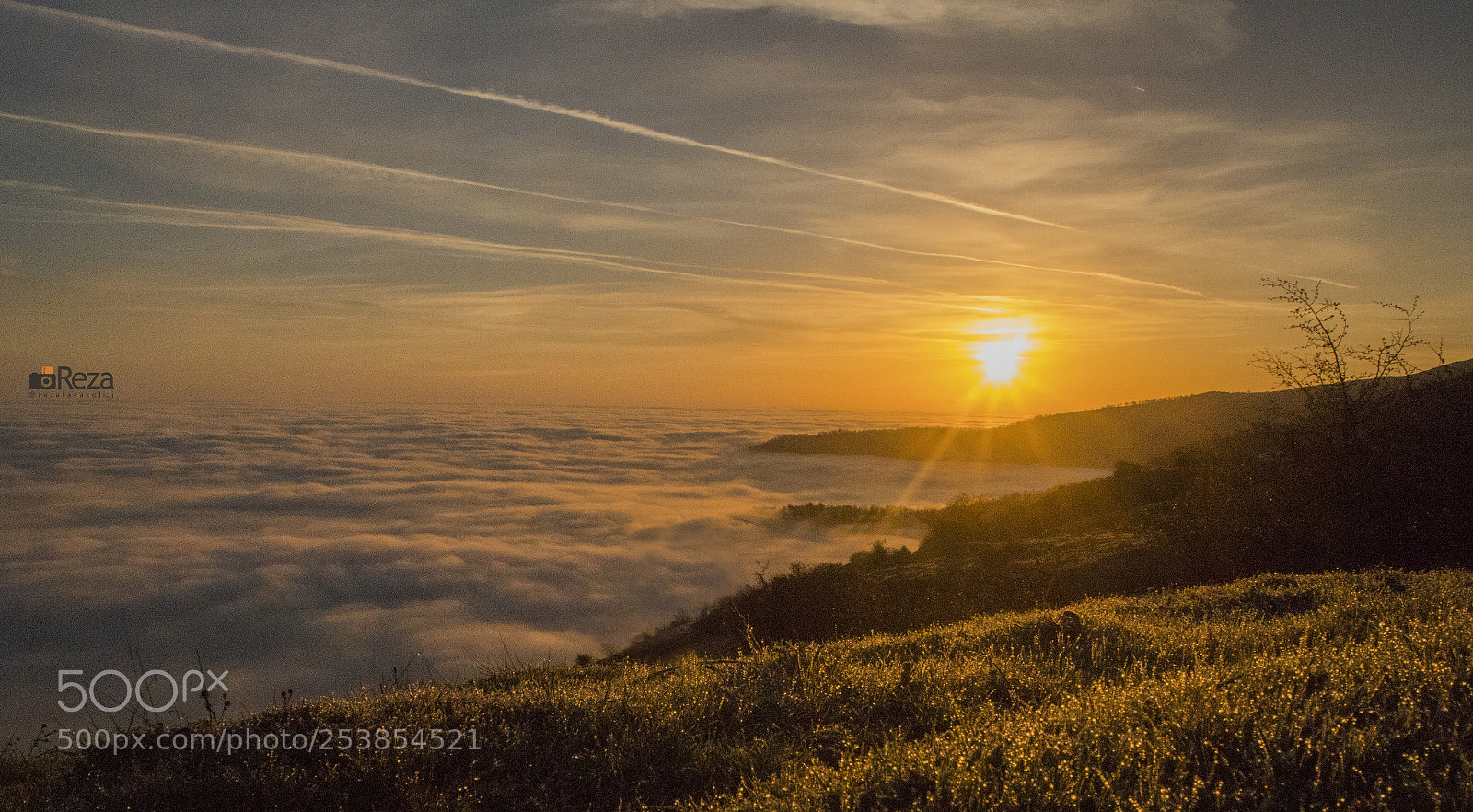 Canon EOS 6D Mark II sample photo. Above the clouds . photography