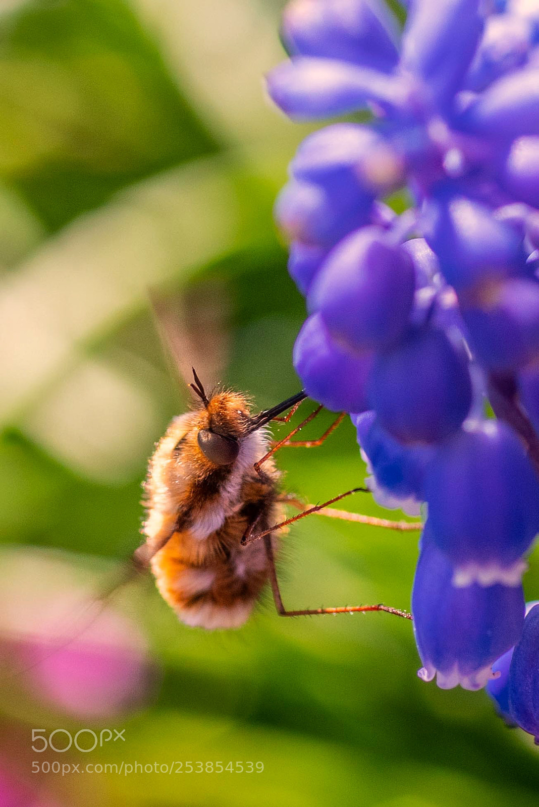 Pentax K-1 sample photo. Busy photography