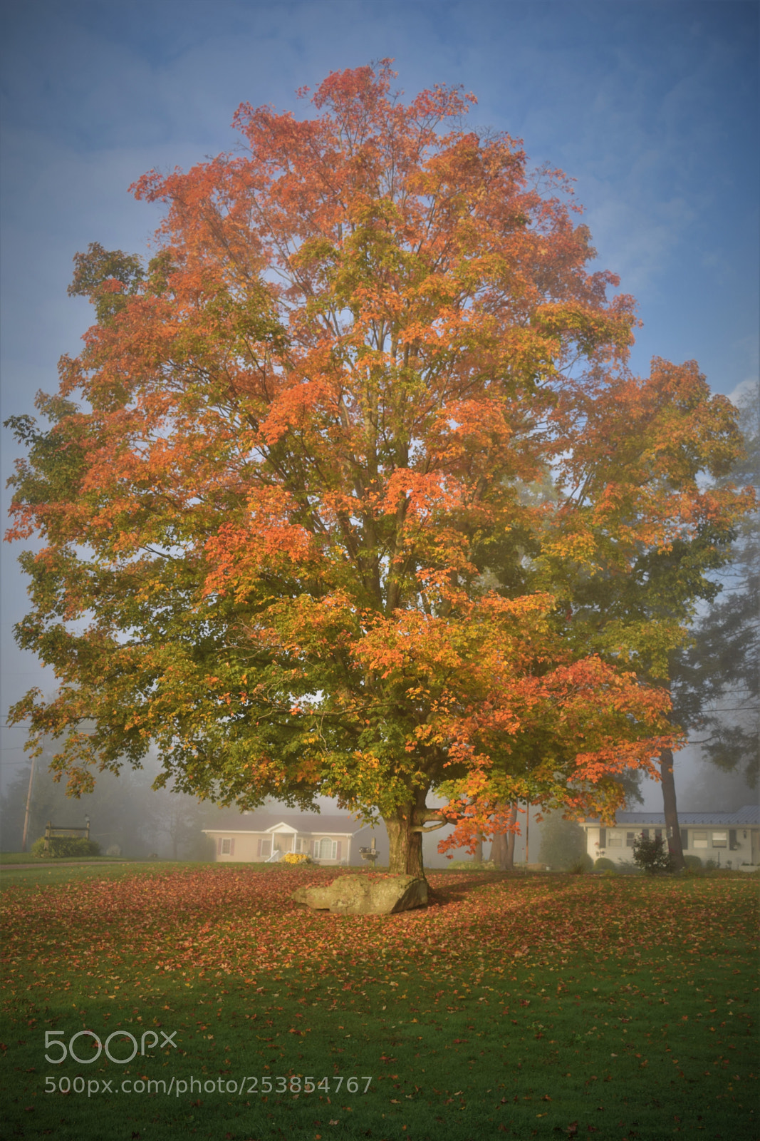 Nikon D3300 sample photo. Fall glory photography