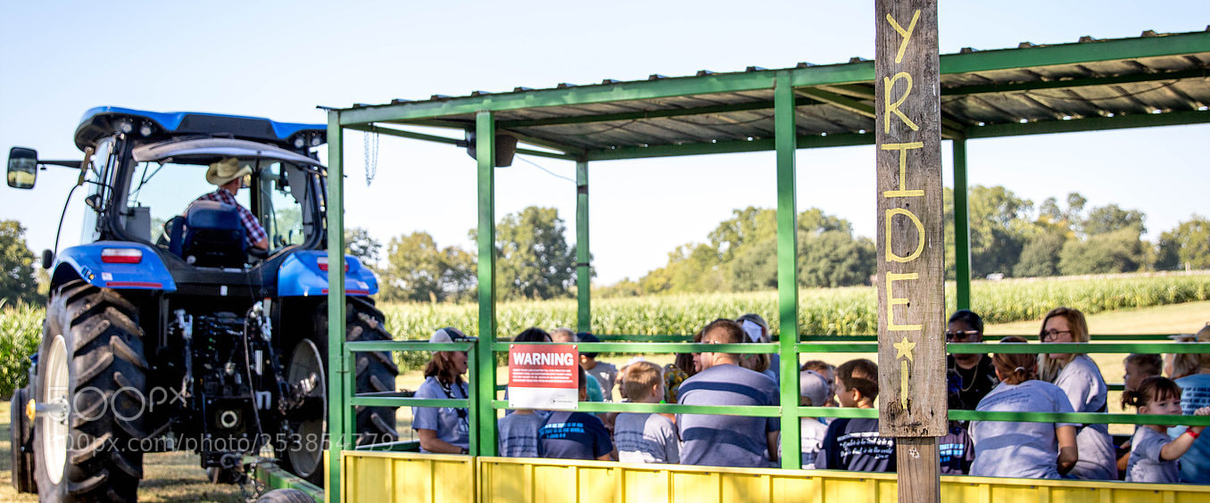 Canon EOS 7D Mark II sample photo. Farm festival photography