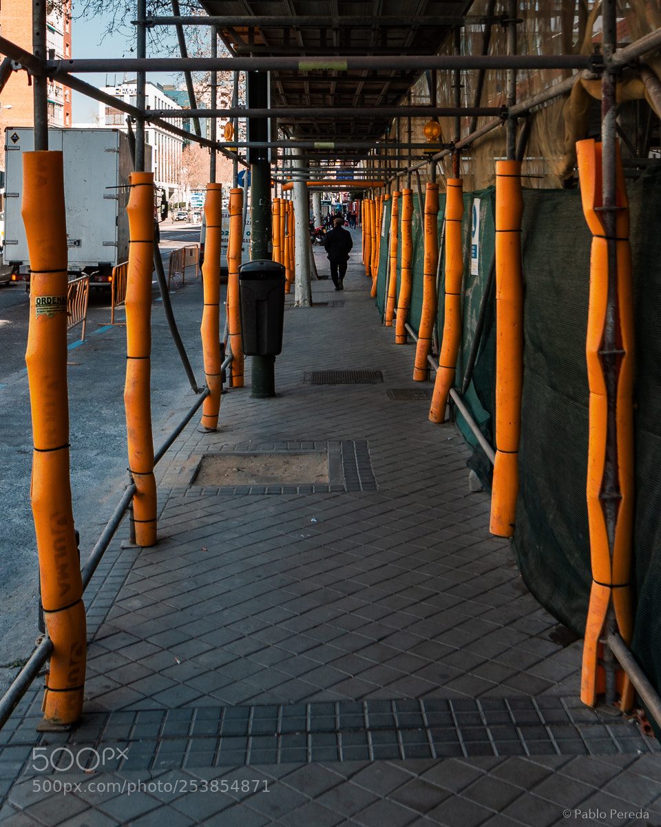Sony a5100 sample photo. 'torii path' at madrid photography