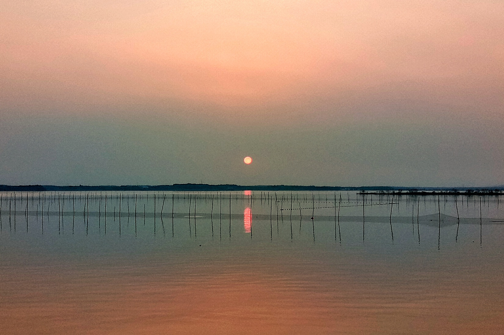 Meizu U20 sample photo. Sunset in liangzi lake photography