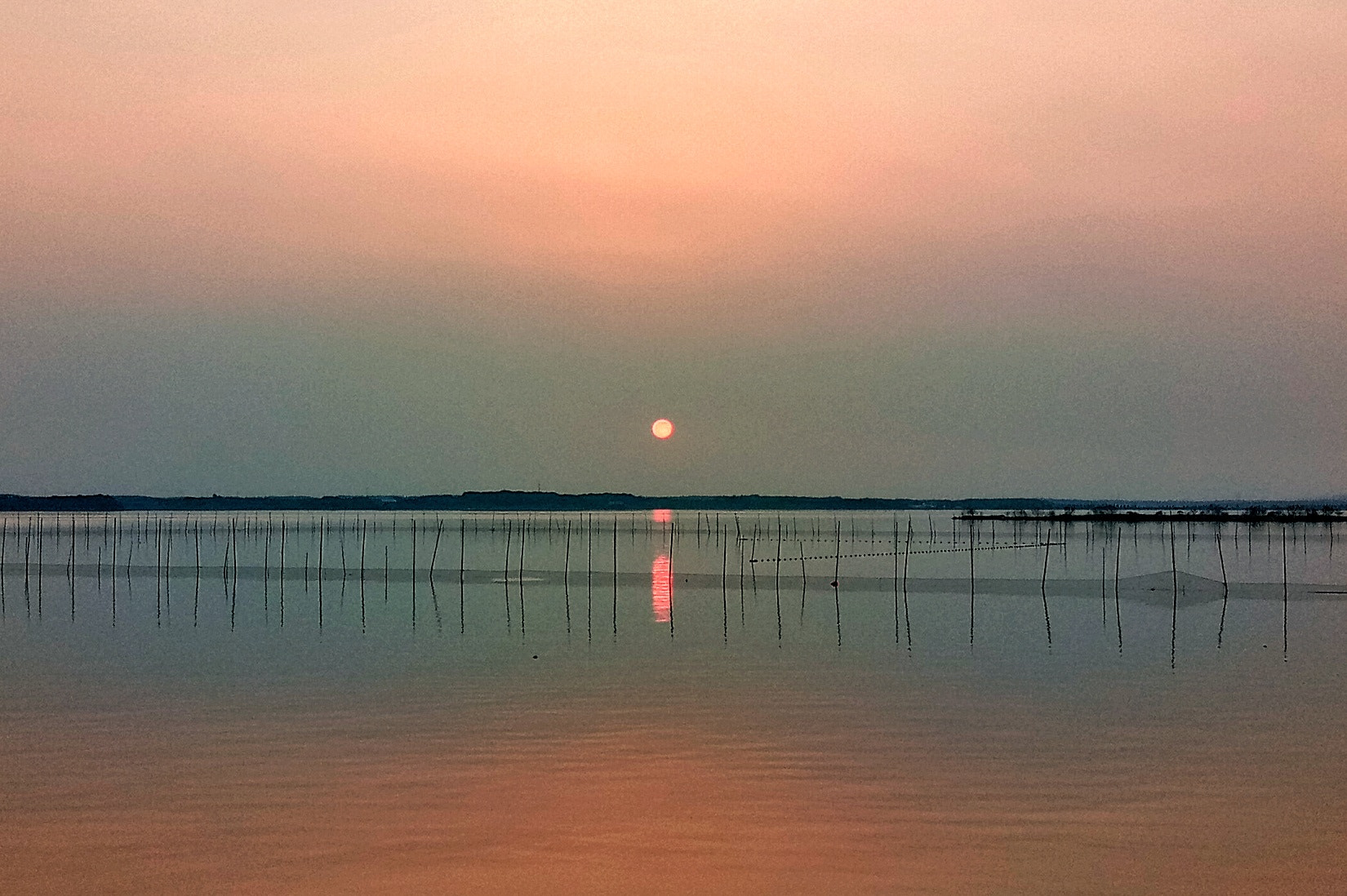 Meizu U20 sample photo. Sunset in liangzi lake photography