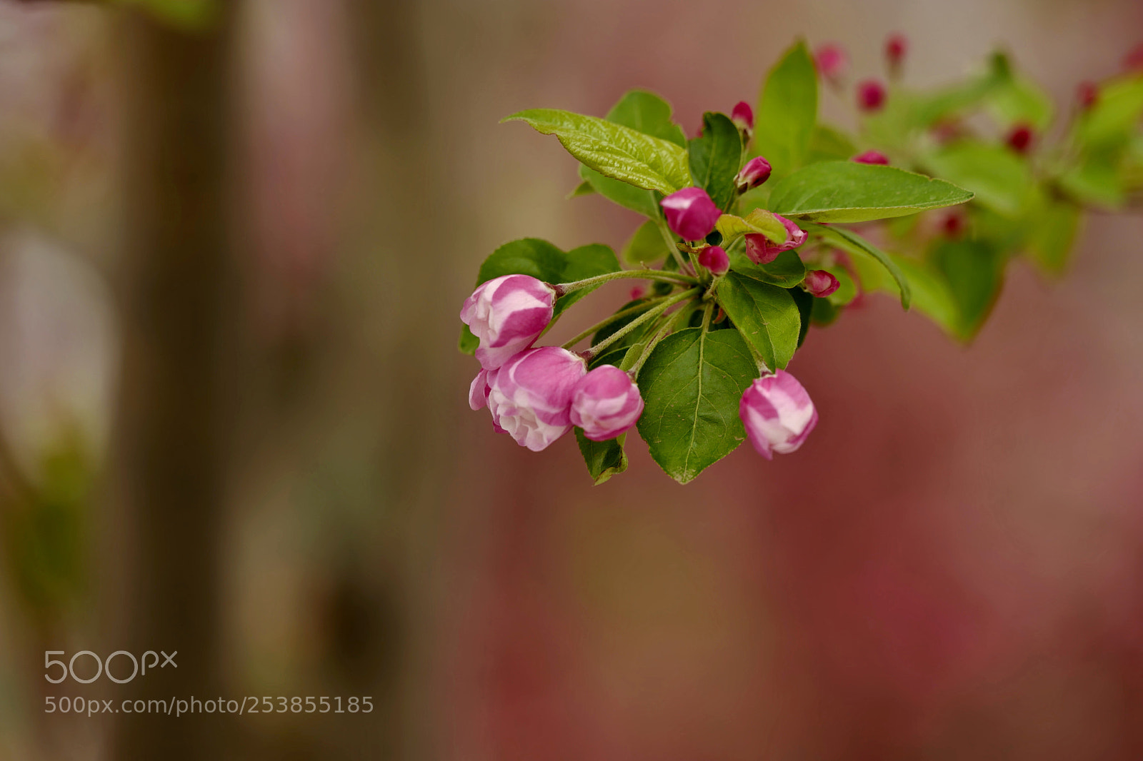 Leica SL (Typ 601) sample photo. Untitled photography
