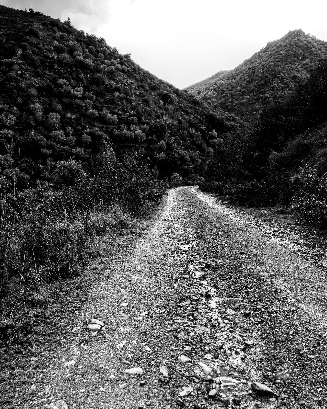 Apple iPhone 8 Plus sample photo. Caminos  photography