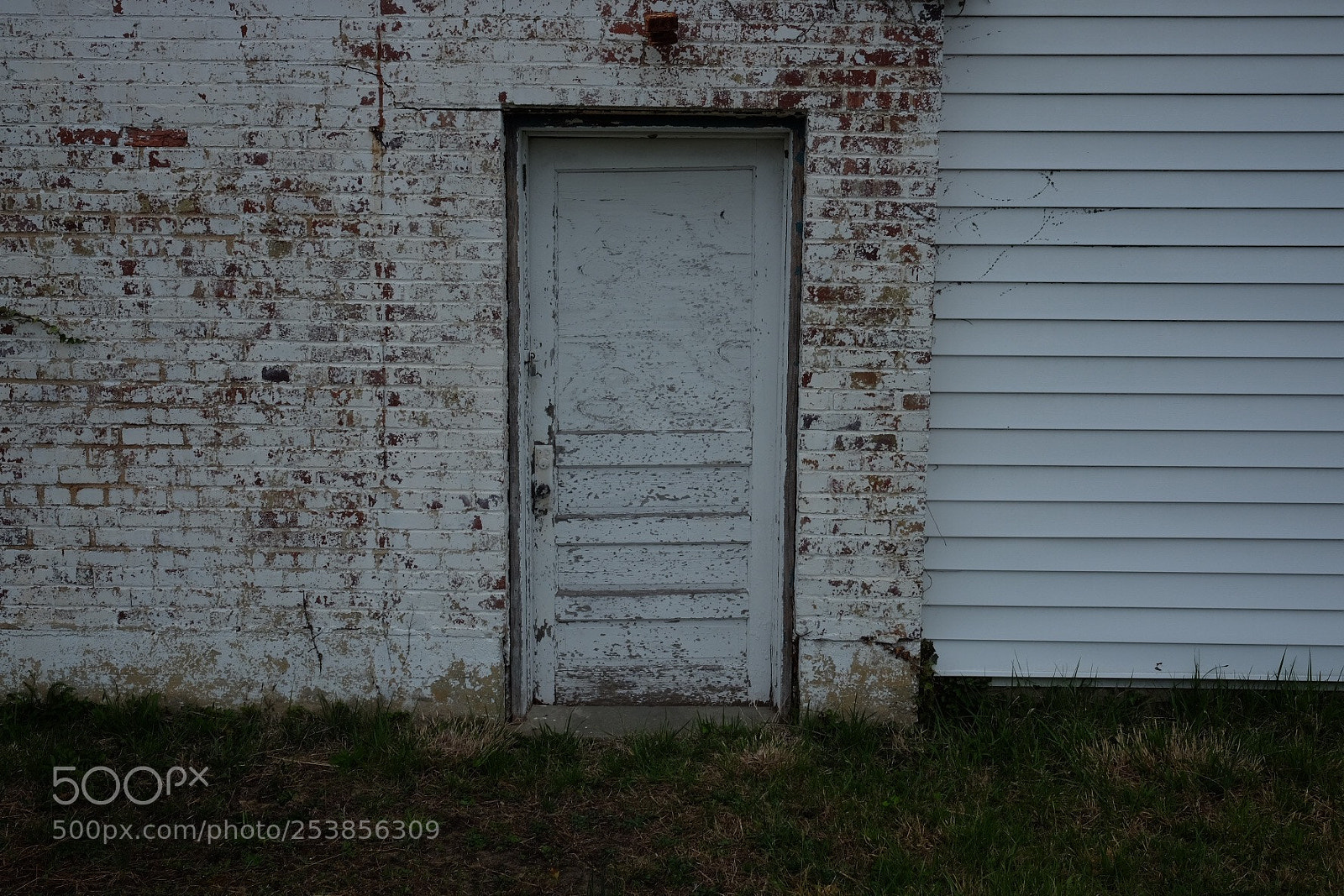 Fujifilm X-E2S sample photo. Untitled photography
