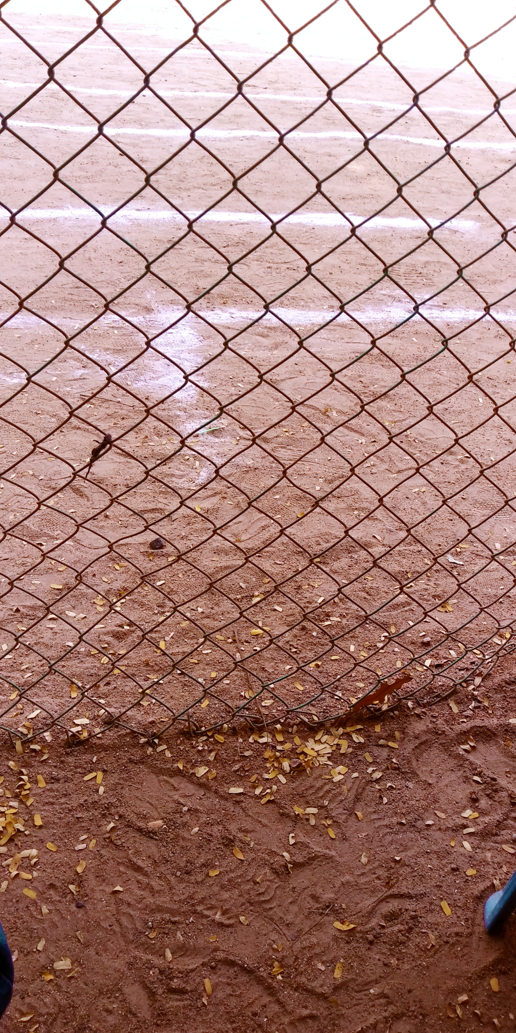 LG Q6 sample photo