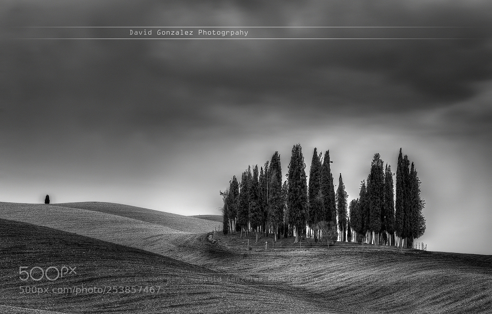 Nikon D700 sample photo. Tuscany landscape photography