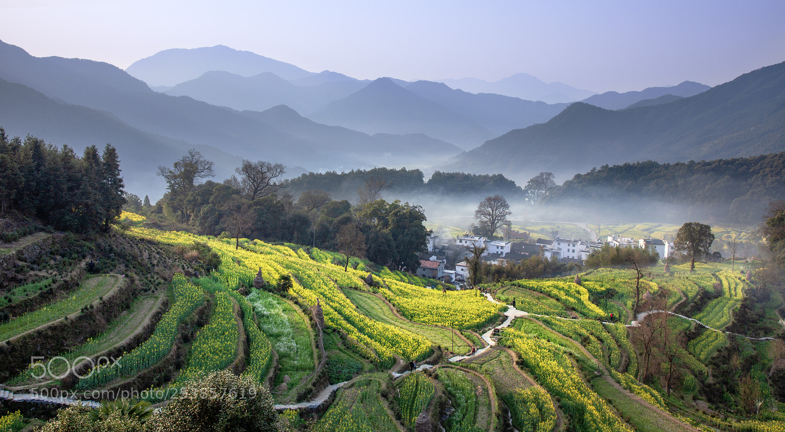 Canon EOS 5D Mark II sample photo. Winding path photography
