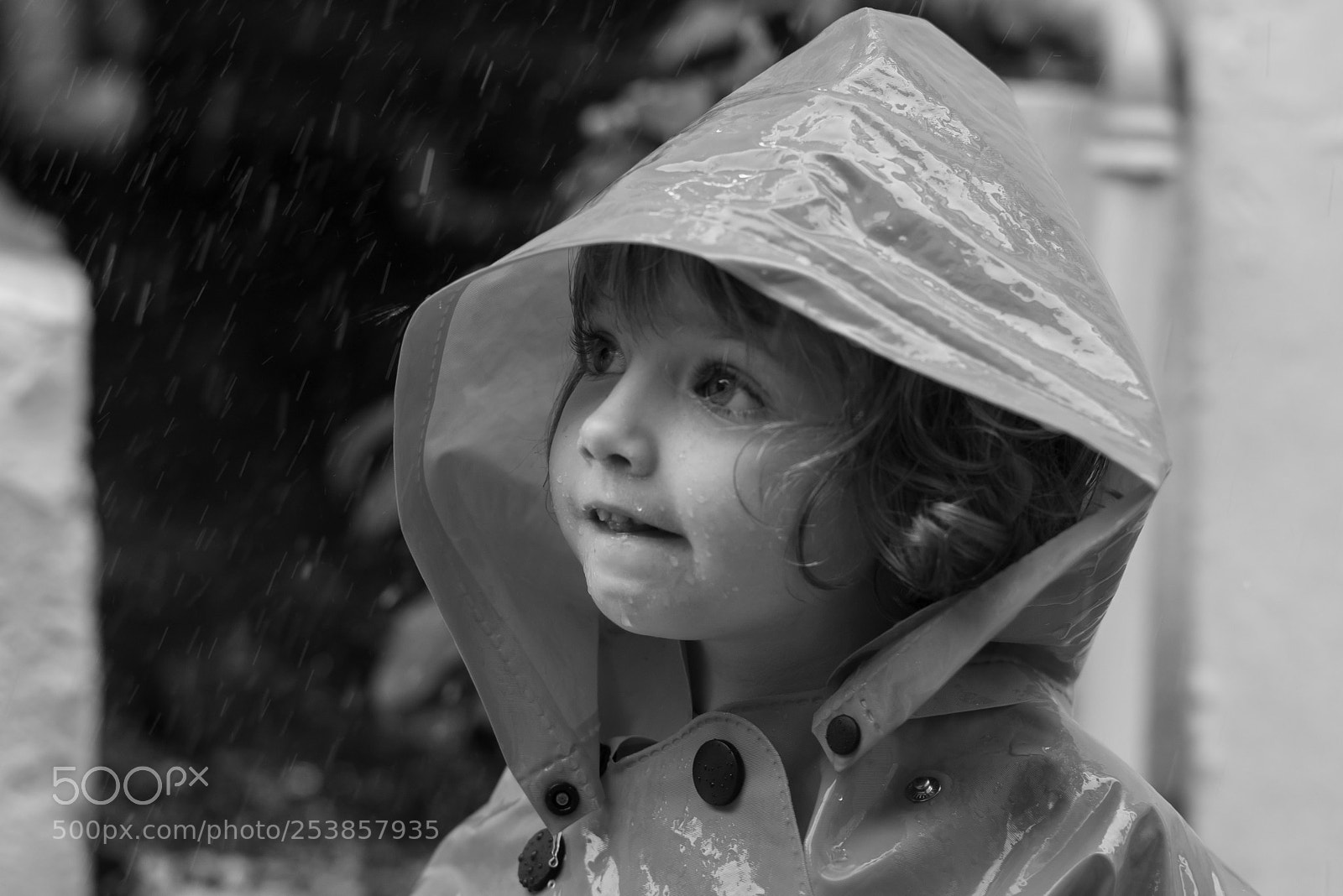 Nikon D810 sample photo. Rain day photography