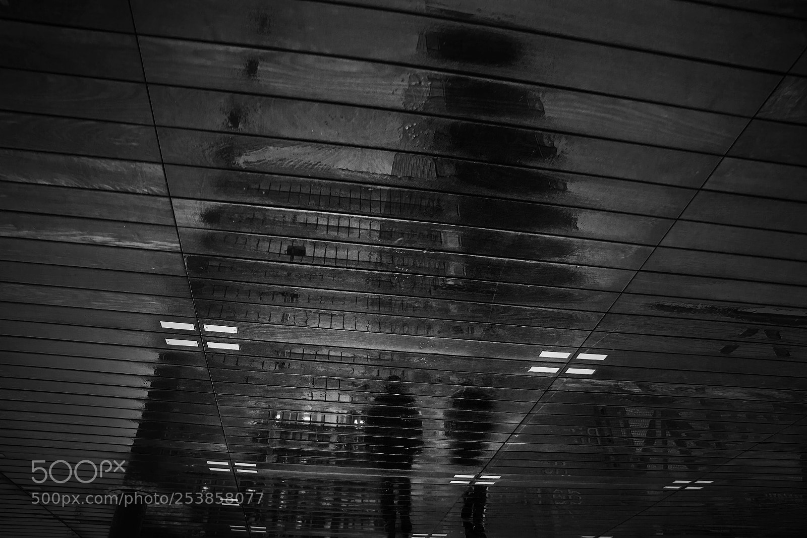 Nikon Df sample photo. N°248 photography