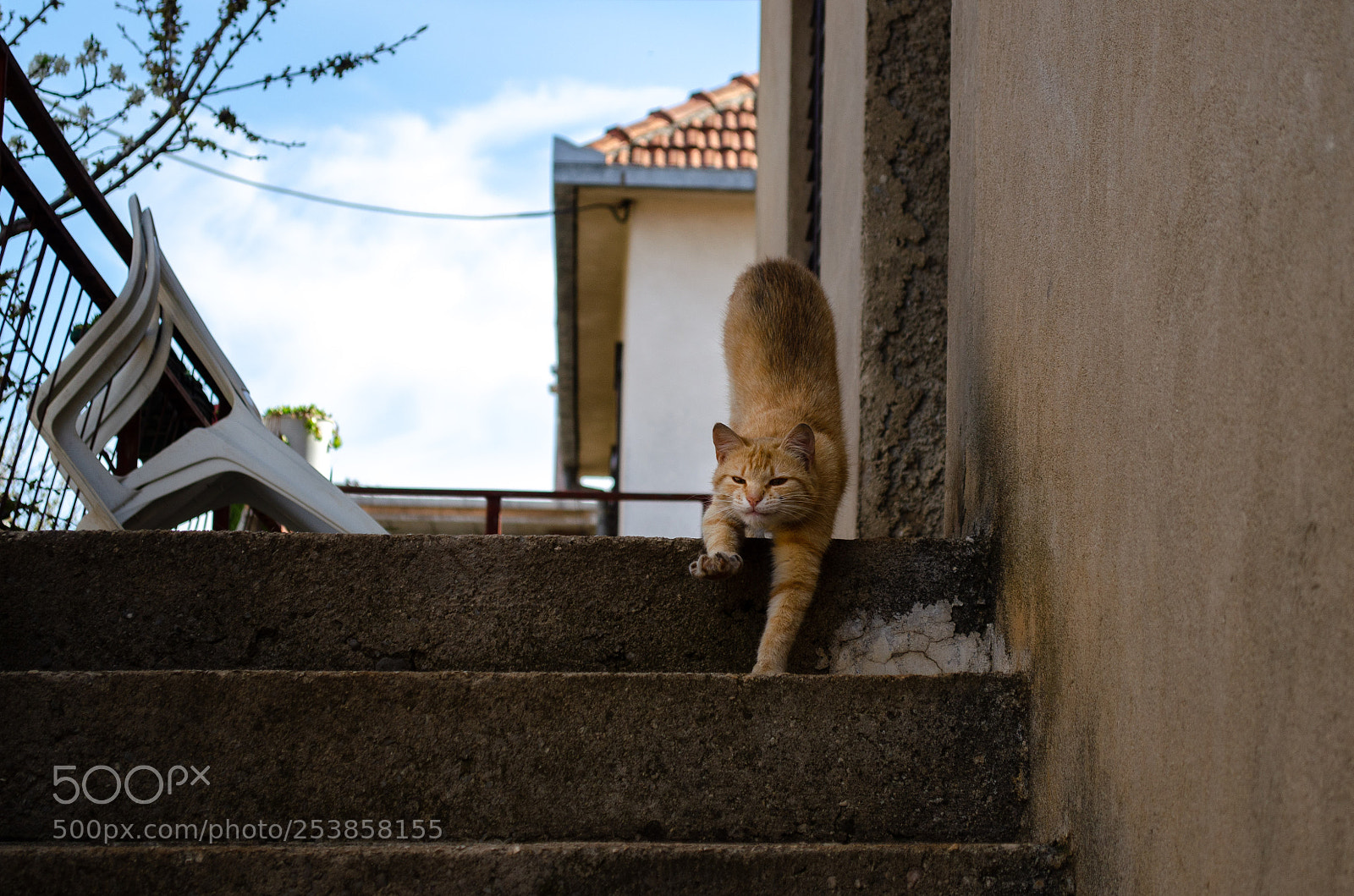 Nikon D5100 sample photo. 04072018_162658.jpg photography