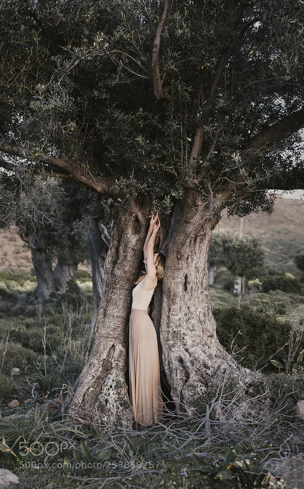 Nikon D610 sample photo. Elaia photography