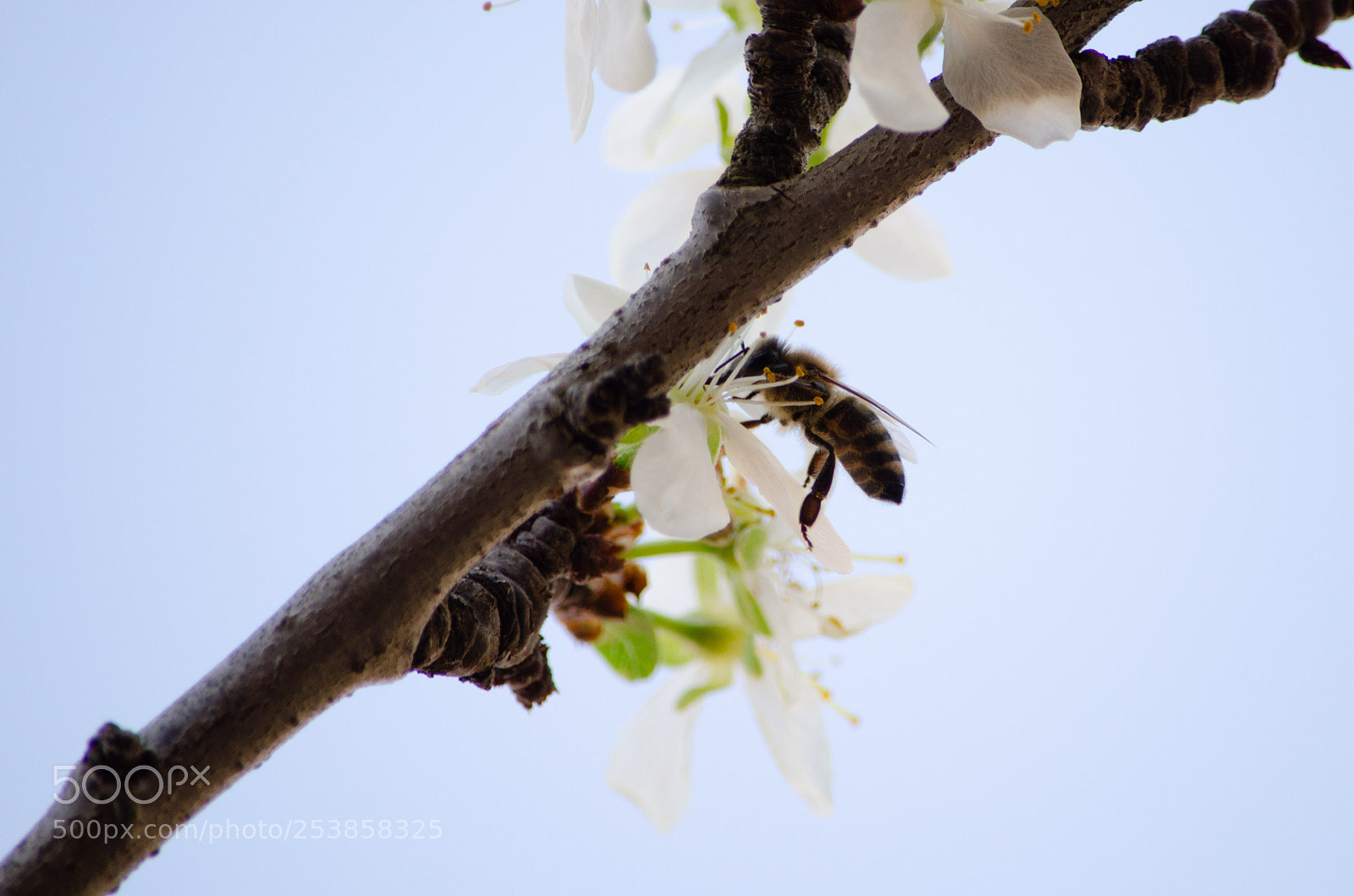 Nikon D5100 sample photo. 04082018_174931-1.jpg photography