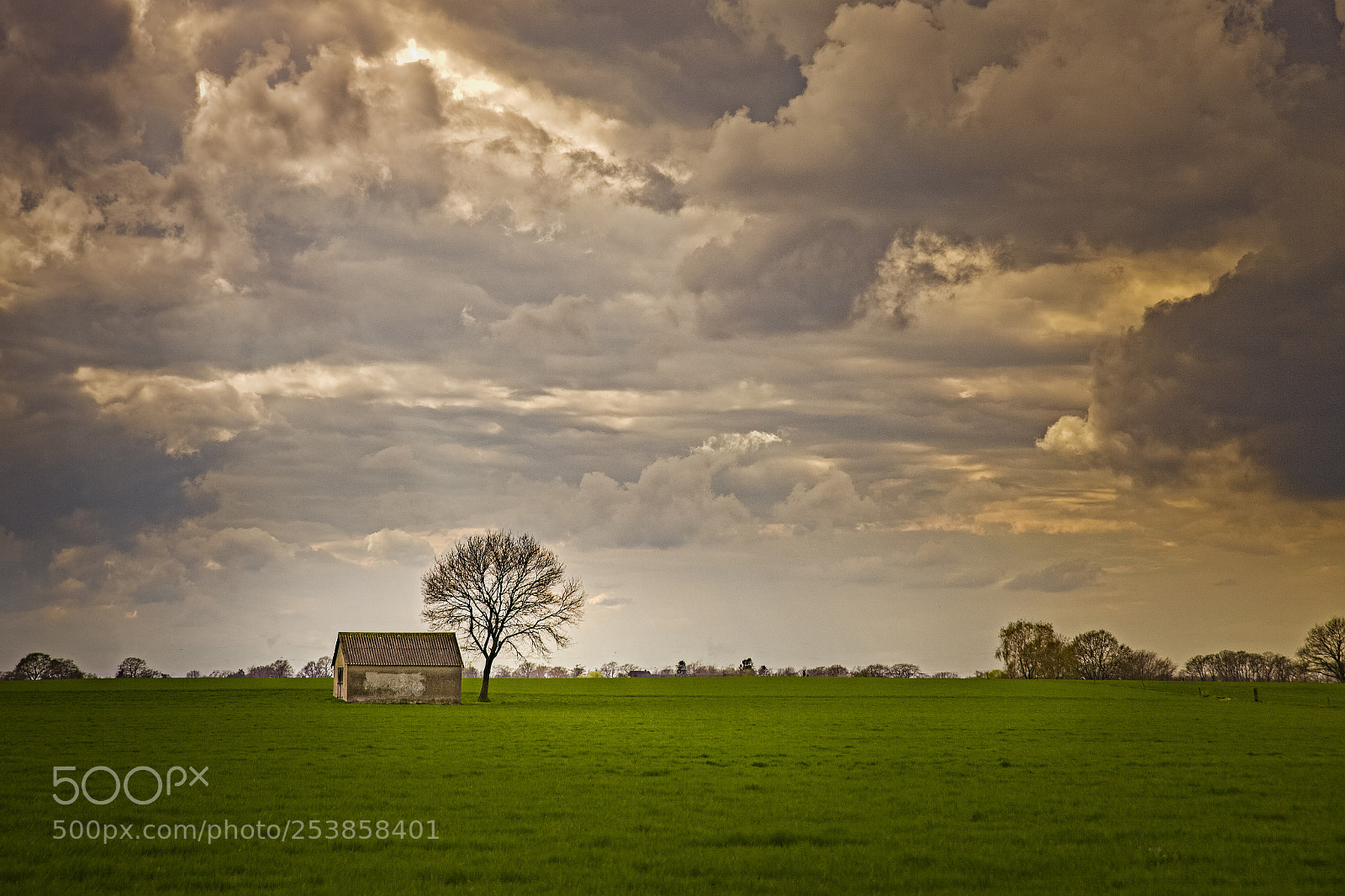 Canon EOS 5D Mark II sample photo. Twente photography