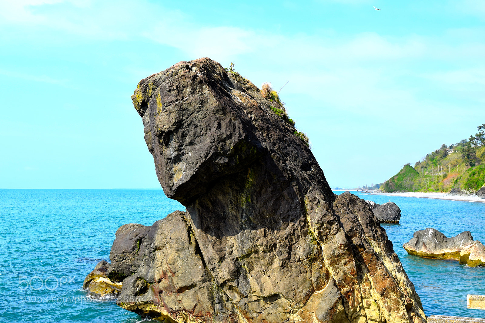 Nikon D3300 sample photo. Dsc photography