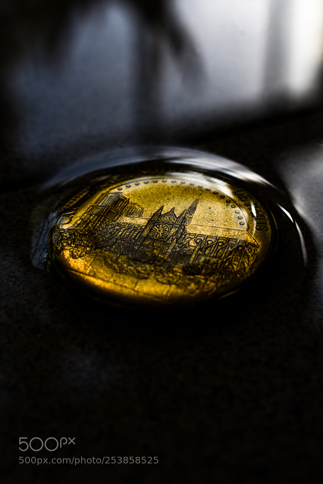 Nikon D3400 sample photo. Gold notre dame photography