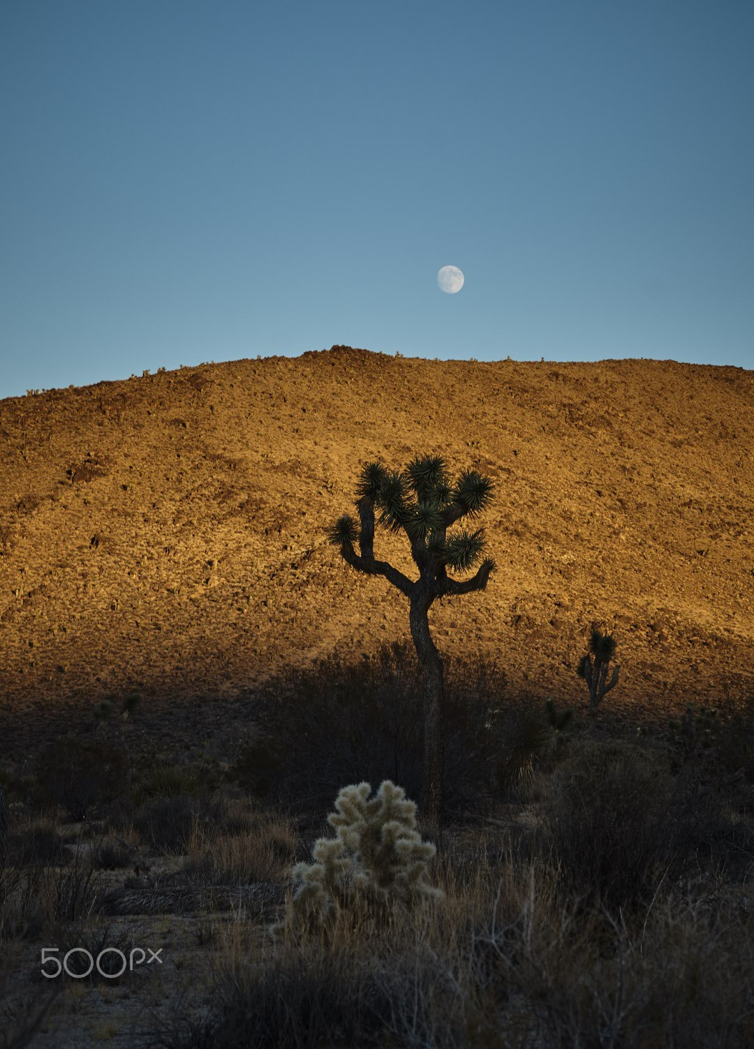 Sony Alpha NEX-F3 sample photo. Hmu dsc photography