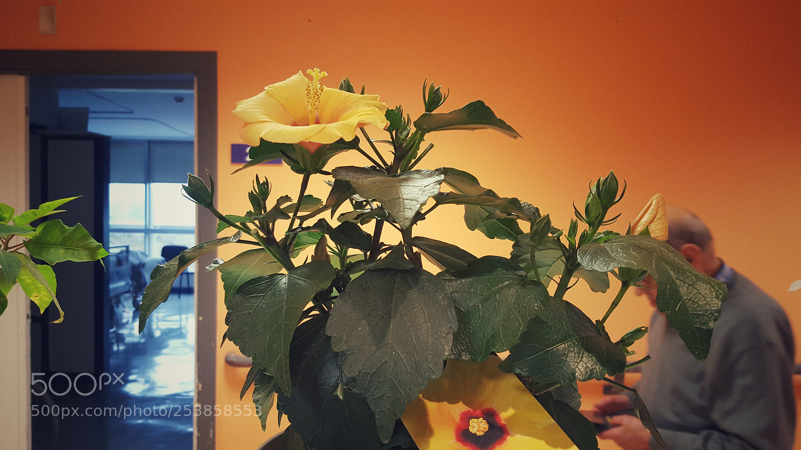 Samsung Galaxy S6 sample photo. In the hospital. photography
