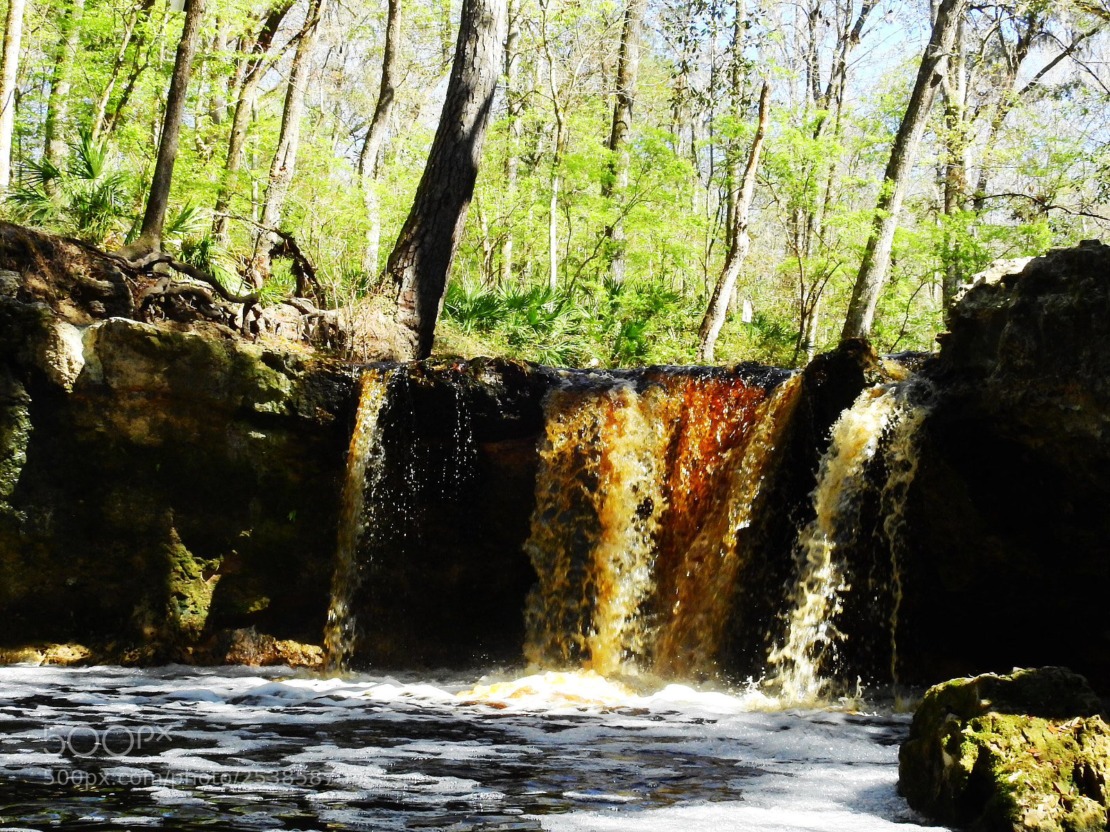Nikon Coolpix P900 sample photo. Falling creek falls photography