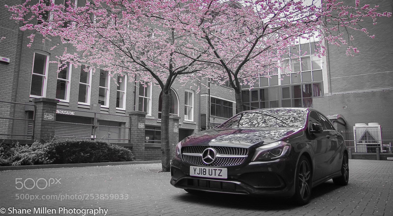 Canon EOS 7D sample photo. Untitled photography