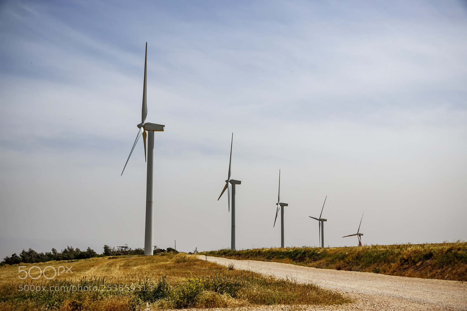 Canon EOS 80D sample photo. A row of wind photography