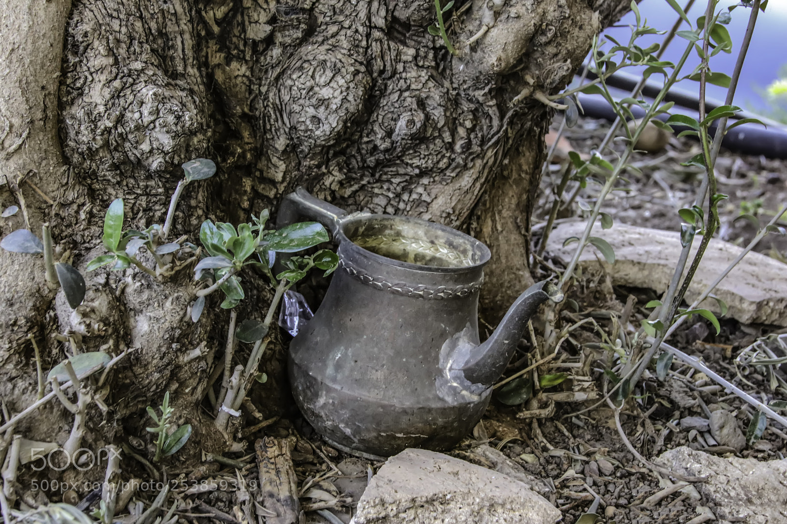 Canon EOS 80D sample photo. Old metal teapot near photography