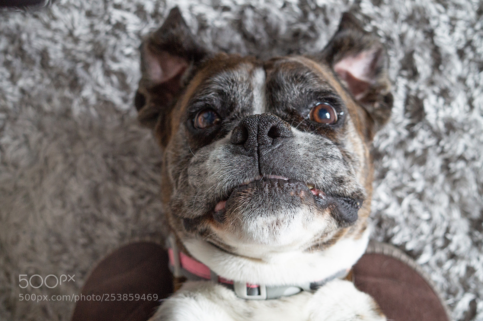 Sony Alpha a5000 (ILCE 5000) sample photo. Dizzy's selfie photography