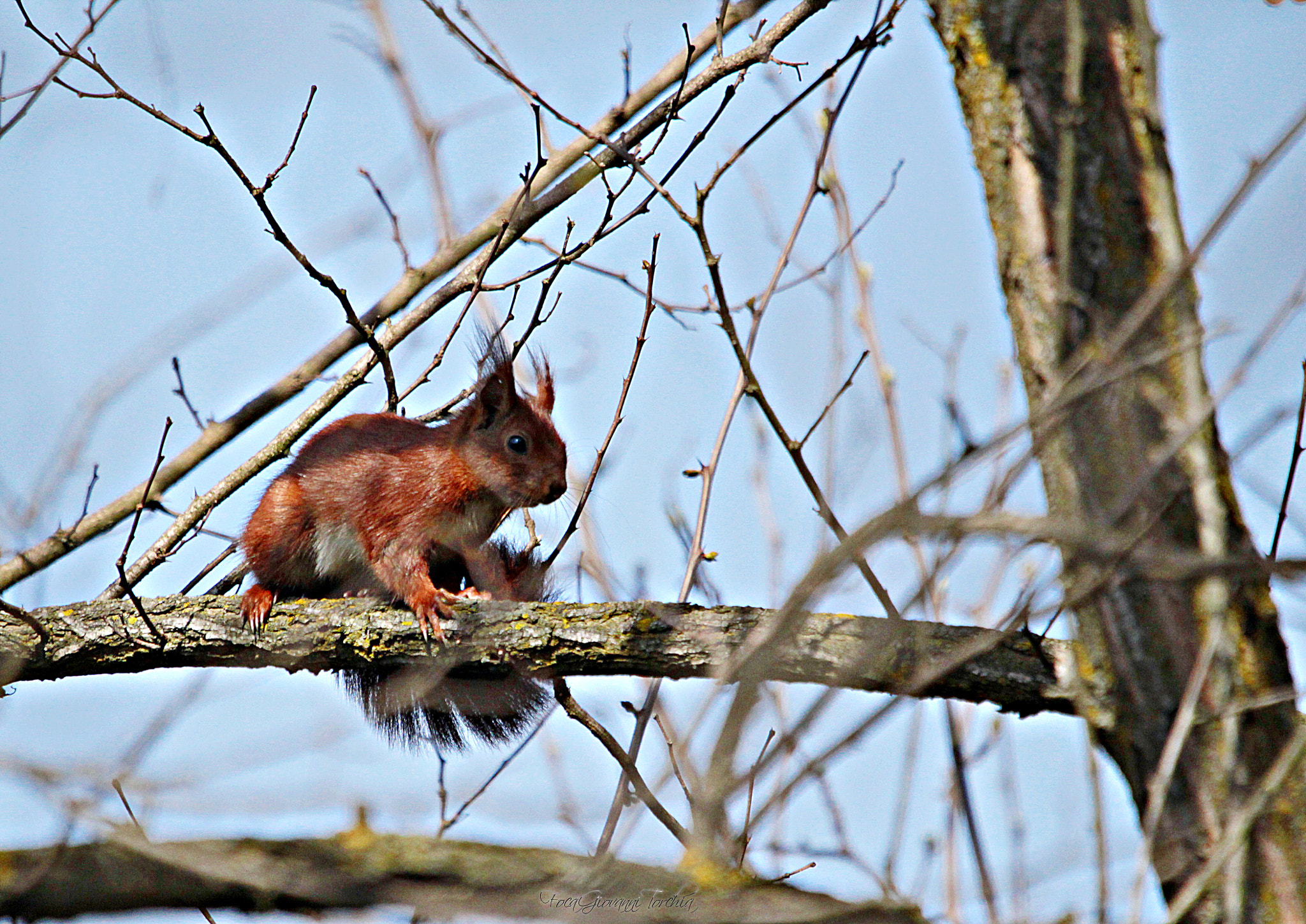 Sigma 150-600mm F5-6.3 DG OS HSM | C sample photo. He is slowly become friends... photography