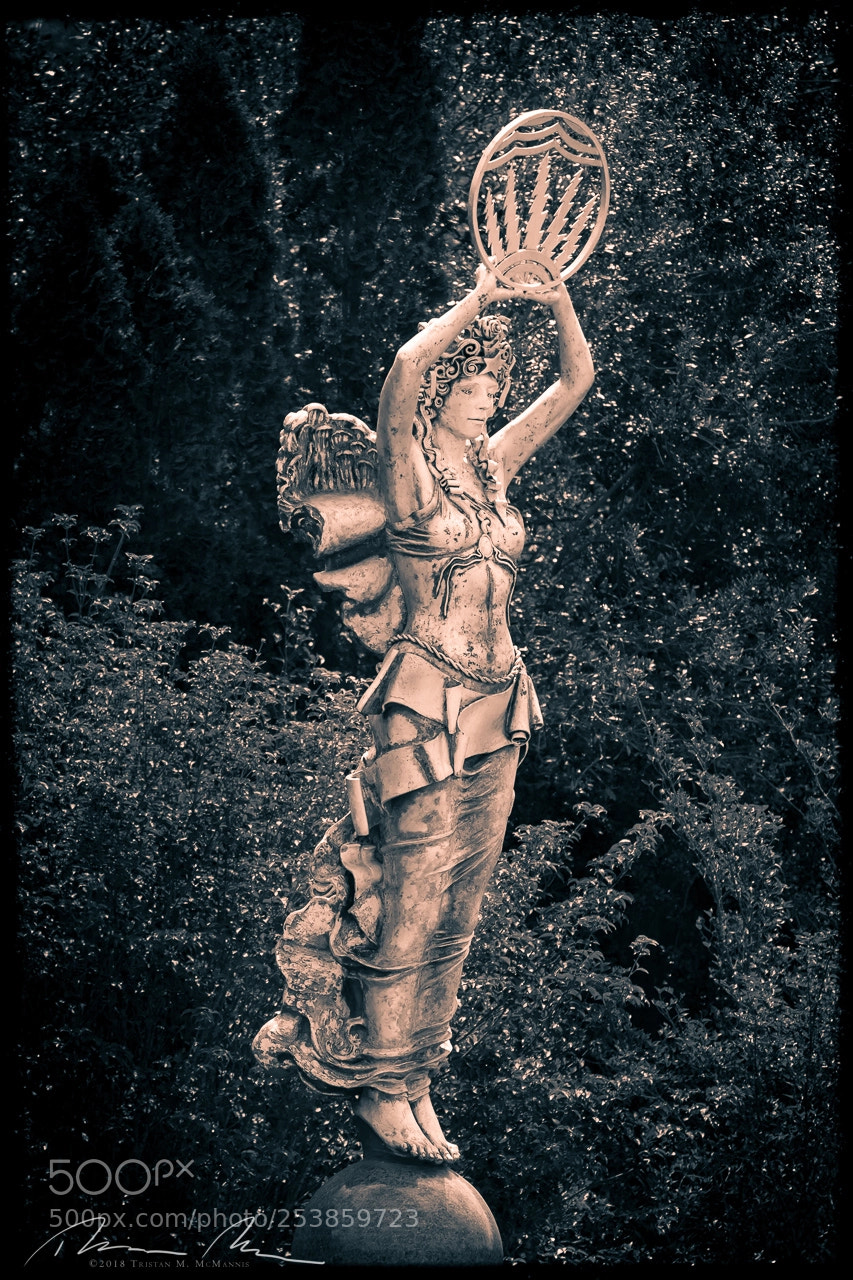 Canon EOS 80D sample photo. Angel in the garden photography