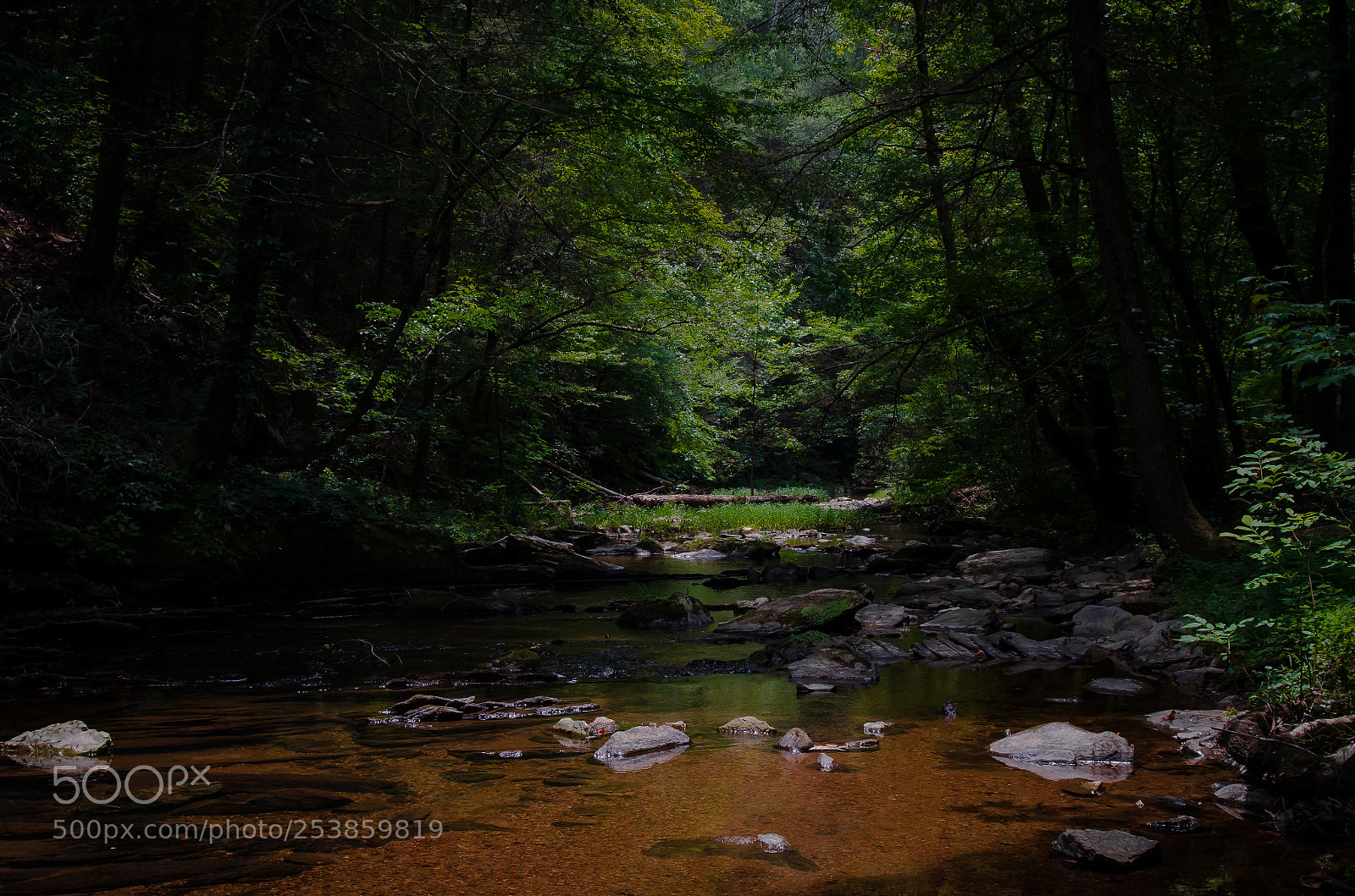 Nikon D7000 sample photo. Untitled photography