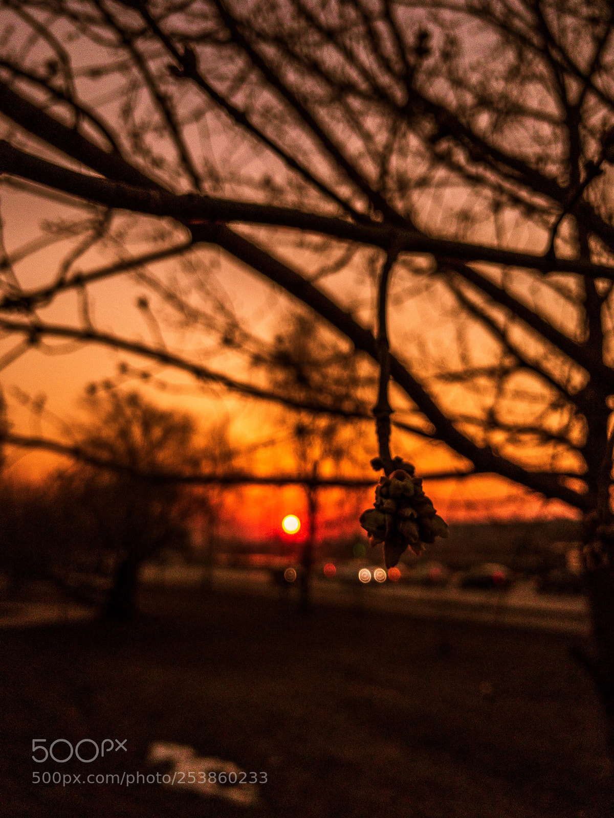Apple iPhone 7 Plus sample photo. Iphoneography. sunset photography