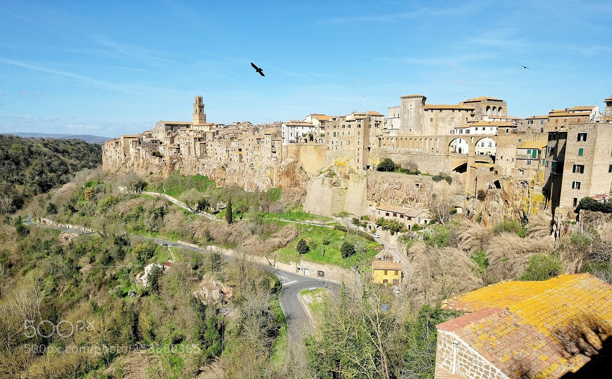 Fujifilm X-T2 sample photo. A bird on pitigliano photography