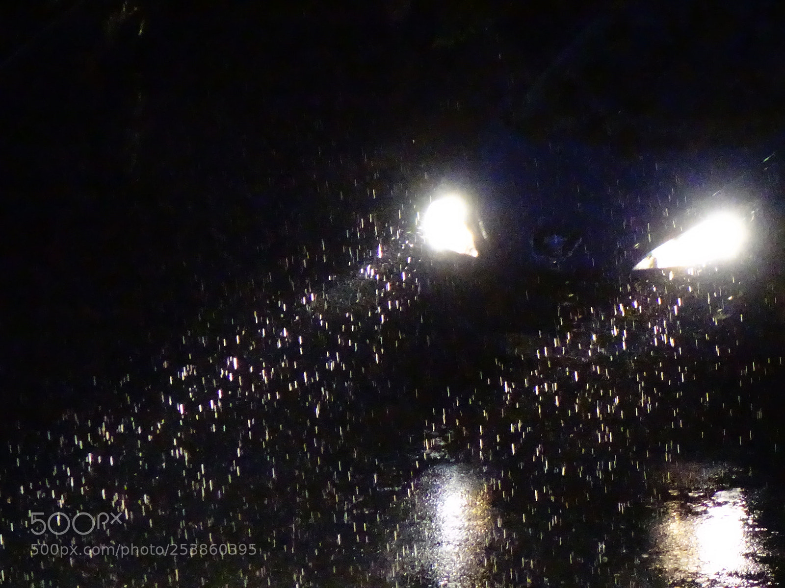 Sony Cyber-shot DSC-RX10 sample photo. Rain eyes photography