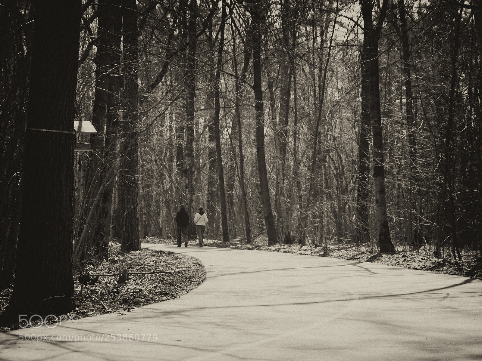 Olympus OM-D E-M1 sample photo. A road to the photography