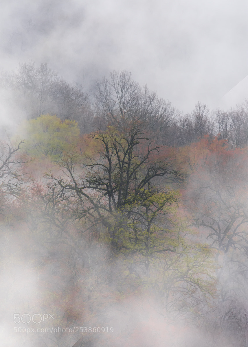 Nikon D7200 sample photo. Untitled photography