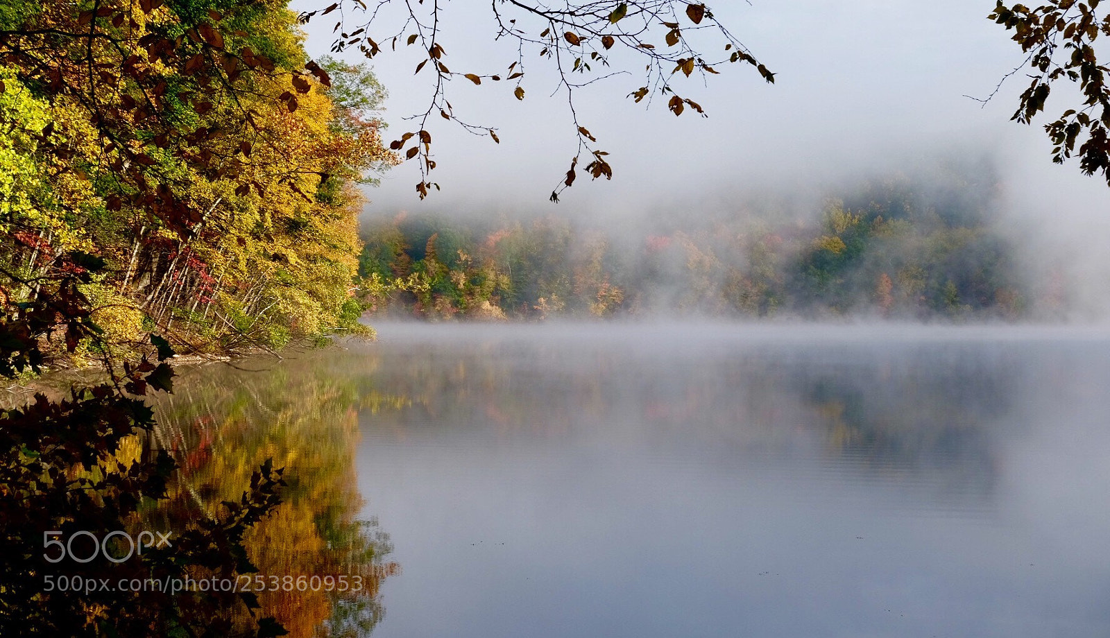 Fujifilm X-T1 sample photo. Foggy morning  photography