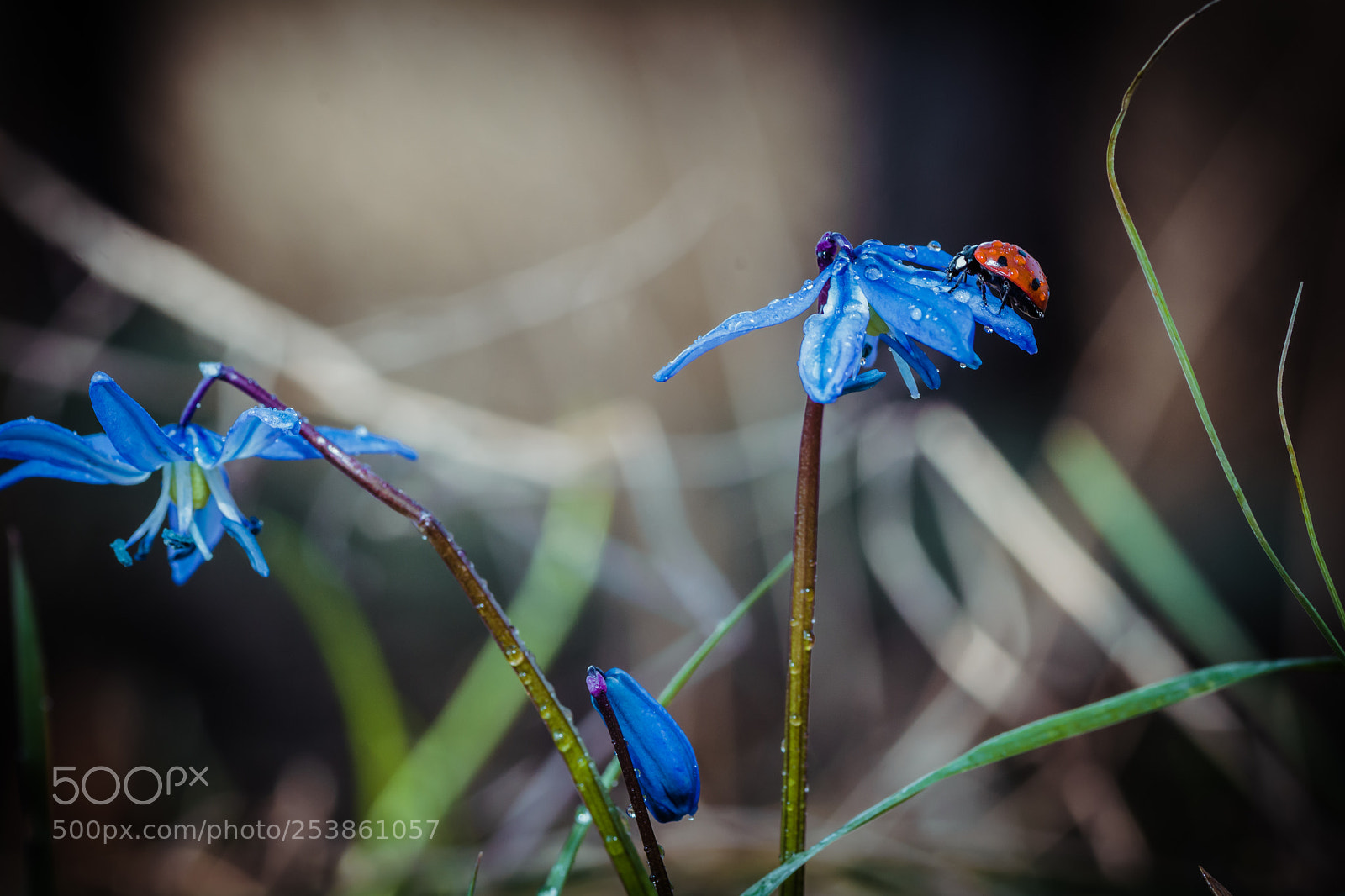 Nikon D7100 sample photo. Untitled photography