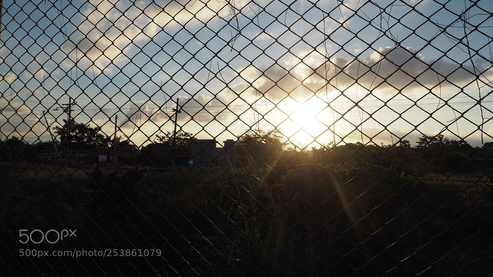 Olympus PEN E-PL7 sample photo. Fence photography