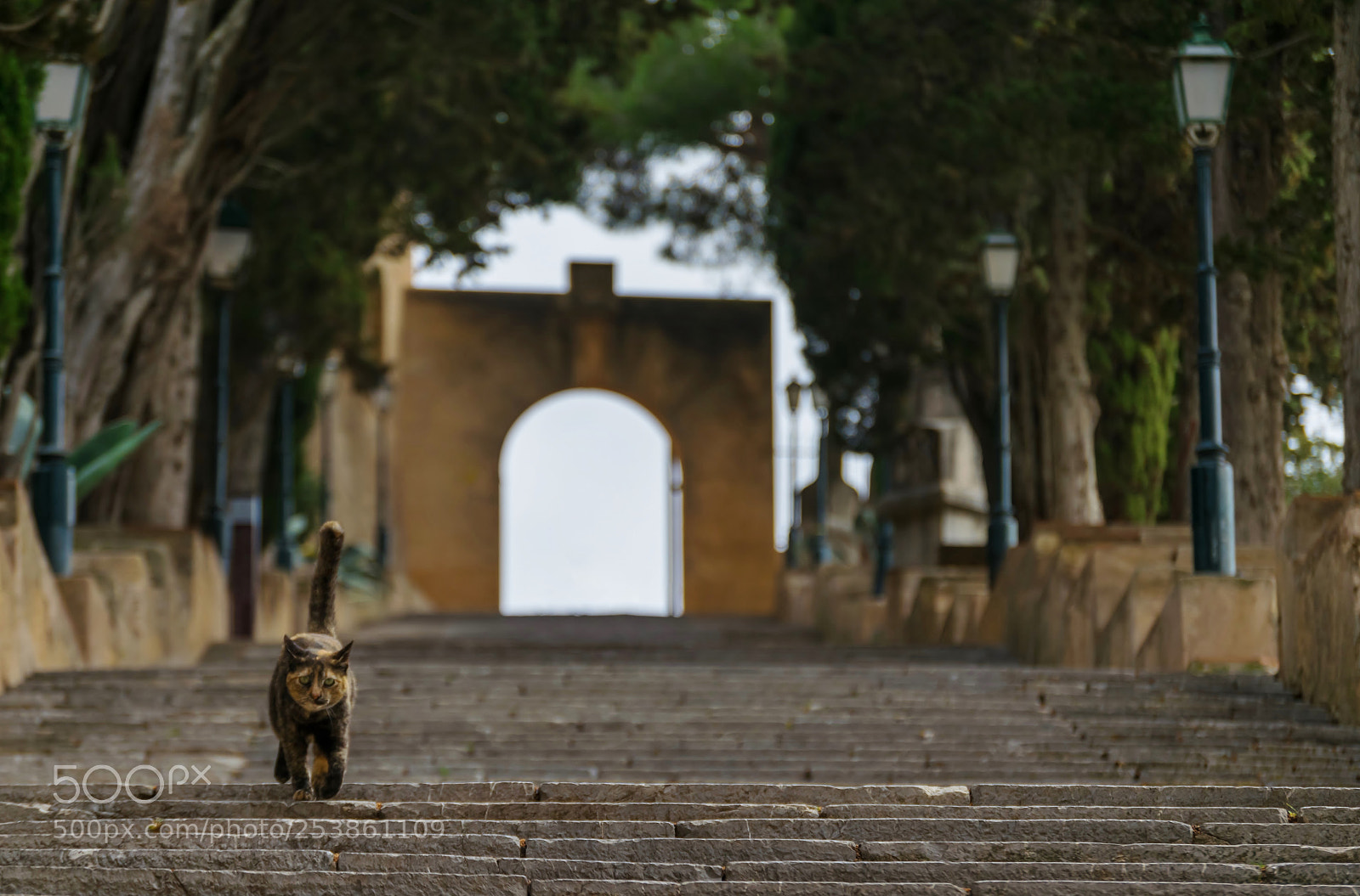 Nikon D3300 sample photo. I'm running now ... photography