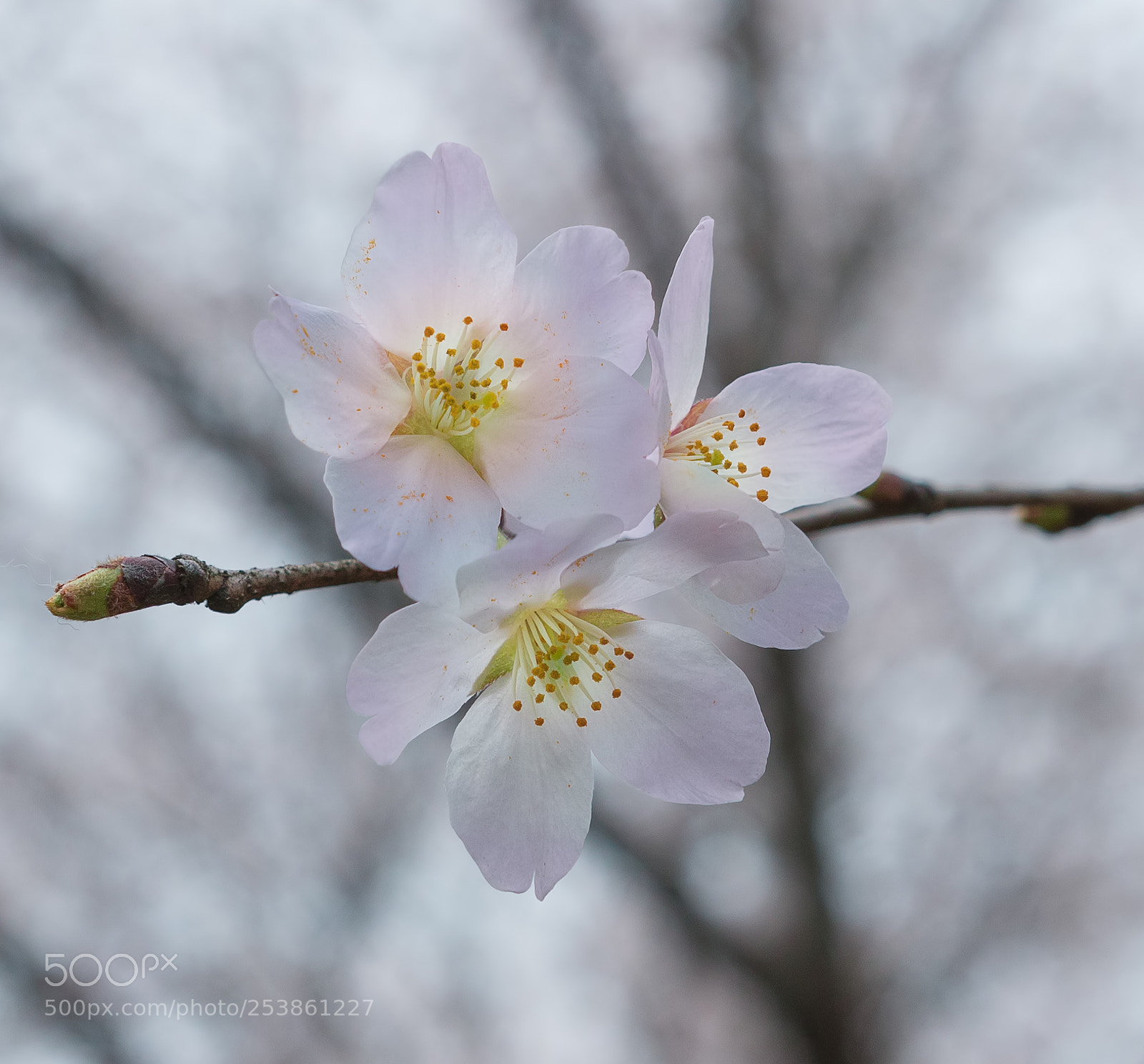 Canon EOS 70D sample photo. . photography