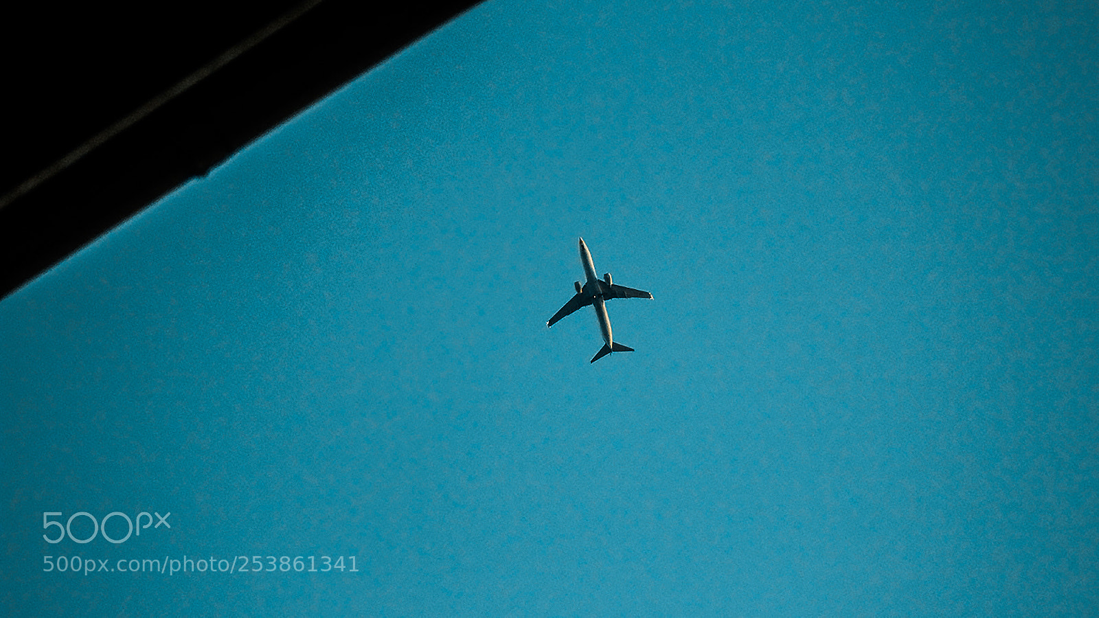Canon EOS 600D (Rebel EOS T3i / EOS Kiss X5) sample photo. Fly high. photography