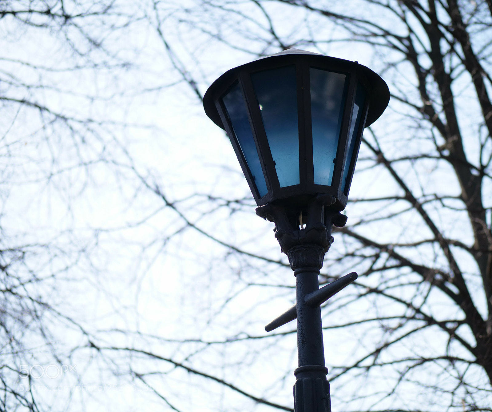 Panasonic Lumix DC-GH5 sample photo. Untitled photography