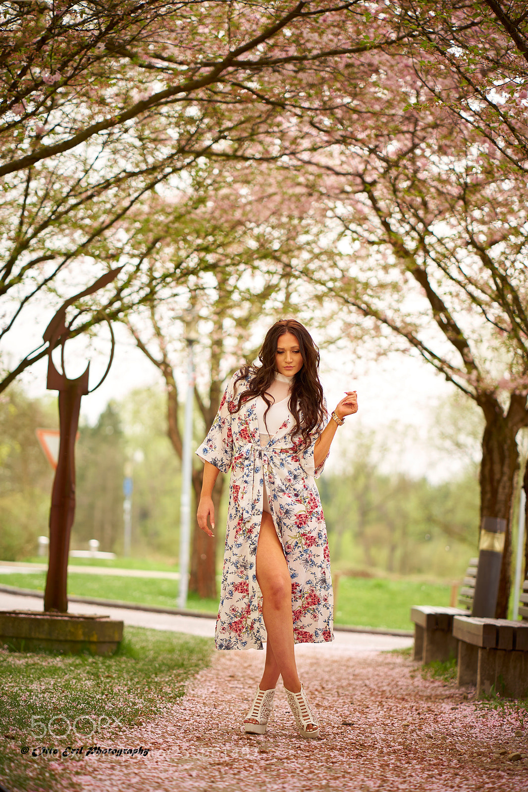 Sony a7 II sample photo. Under the trees photography