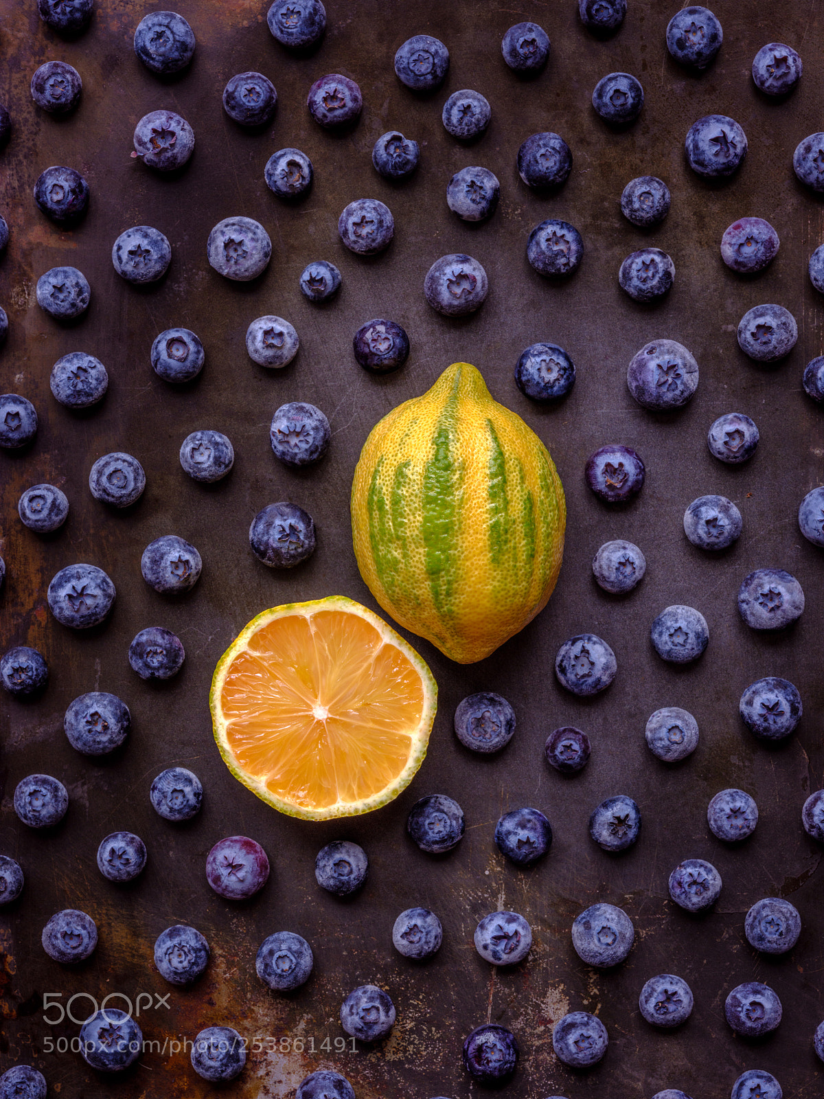 Fujifilm GFX 50S sample photo. Pink lemon and blueberries photography
