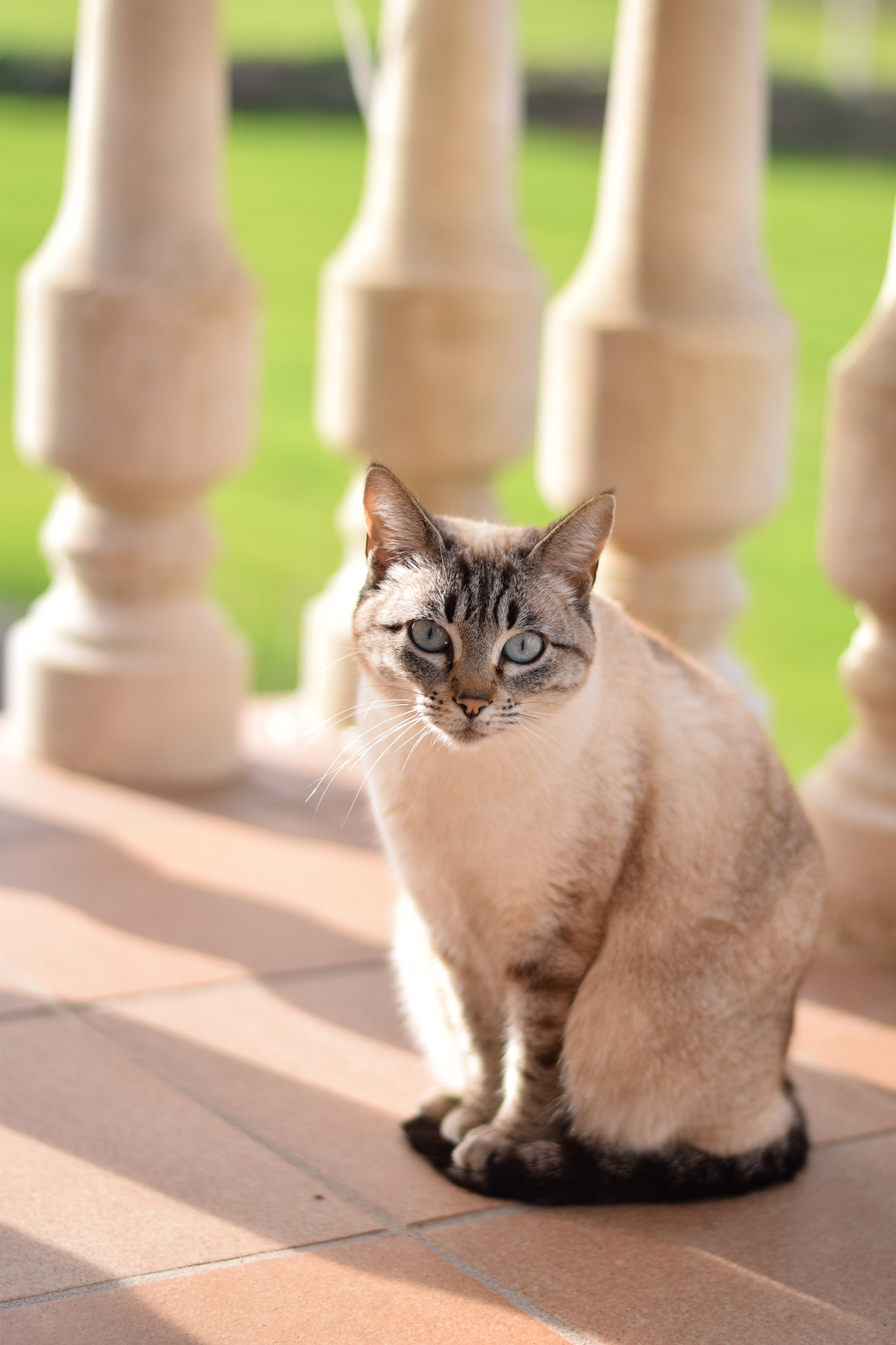 Nikon AF-S Nikkor 50mm F1.8G sample photo. Cala photography