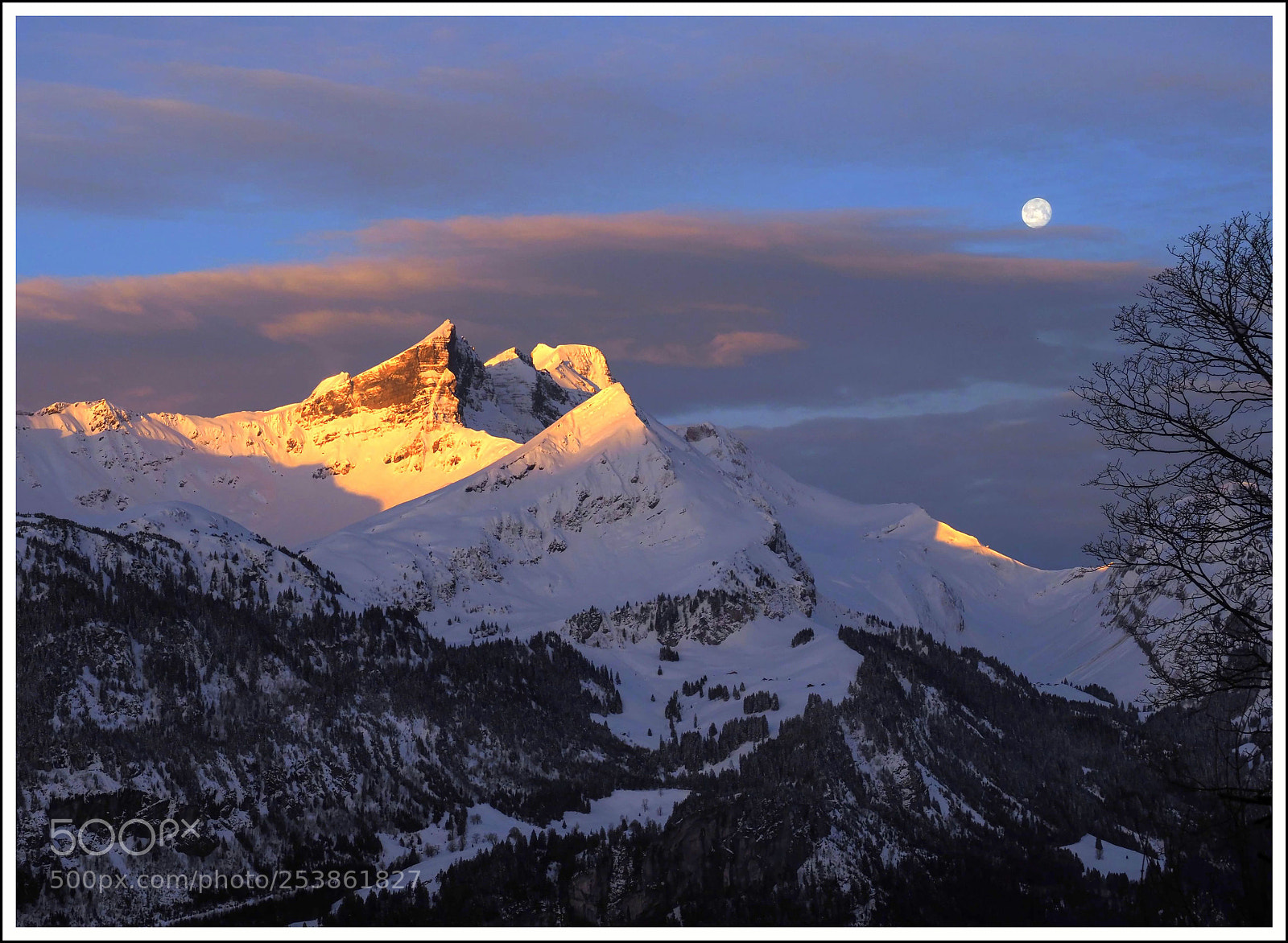 Olympus OM-D E-M1 Mark II sample photo. Beautiful morning photography