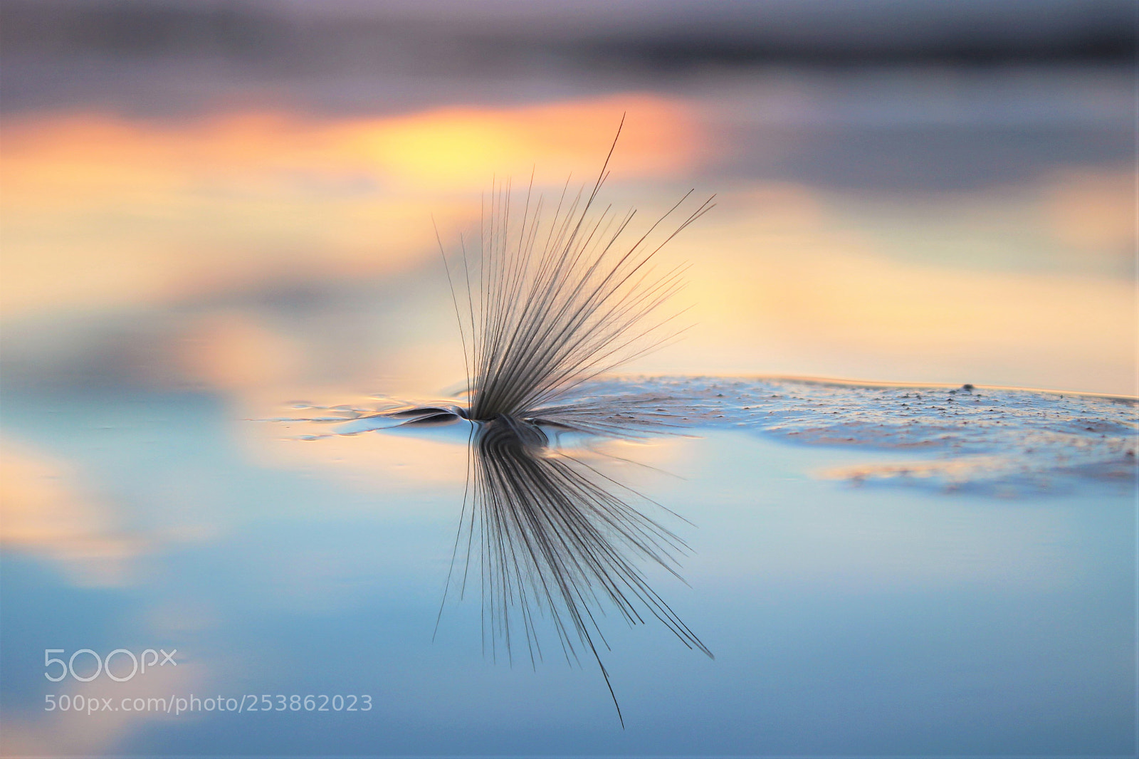 Canon EOS 600D (Rebel EOS T3i / EOS Kiss X5) sample photo. Water dancer! photography